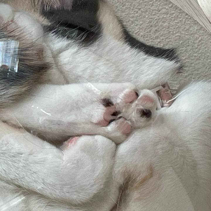 E2d60d78 2838 4ebe 9e9c 1dbc65e209fc 1739669019419