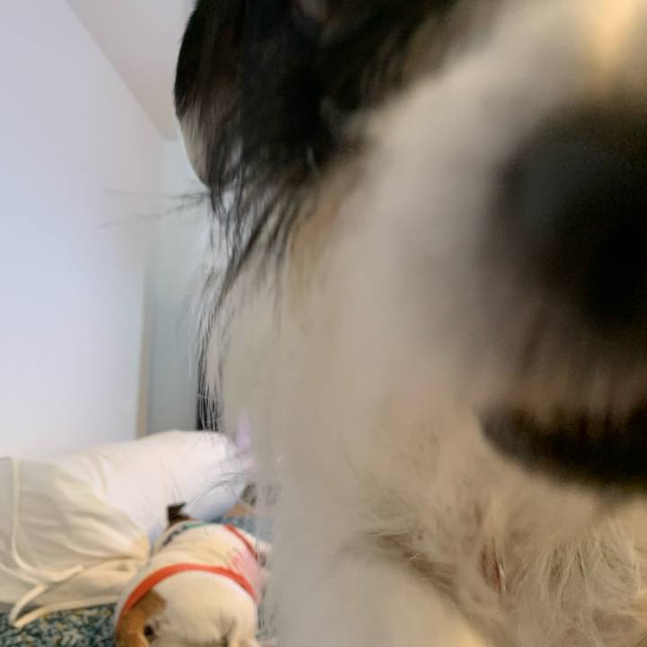 E2d60ef5 6392 41b4 8b17 7e218e7b67c3 1590476356435