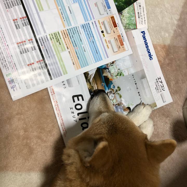 E2d637cb 266c 4bfa b87b f0a164de6f63 1581088319416