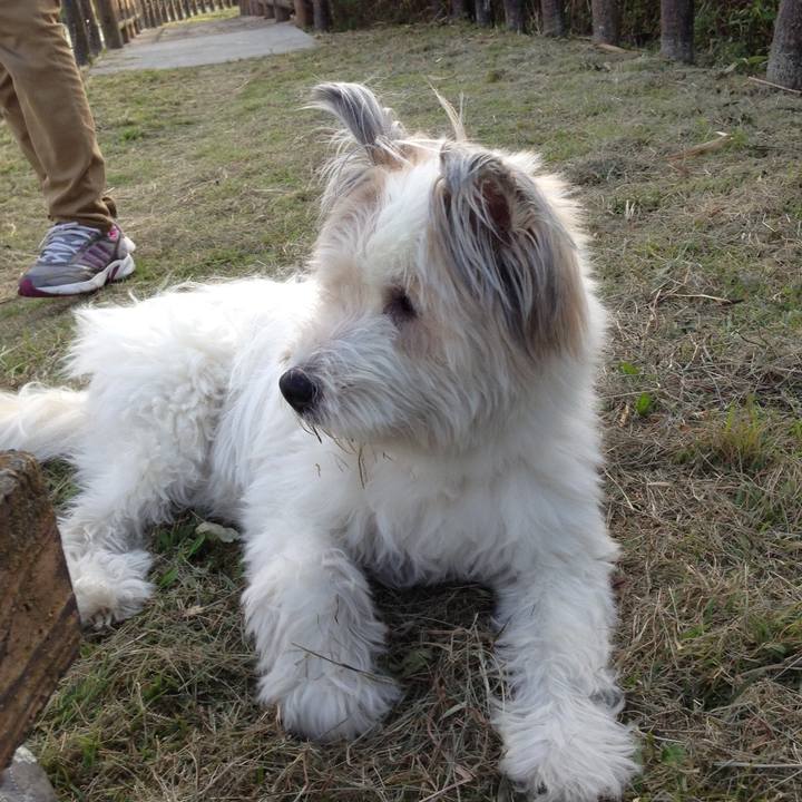 E2d63970 1a5e 4d9d 9684 8ab347ecfa88 1576587944792