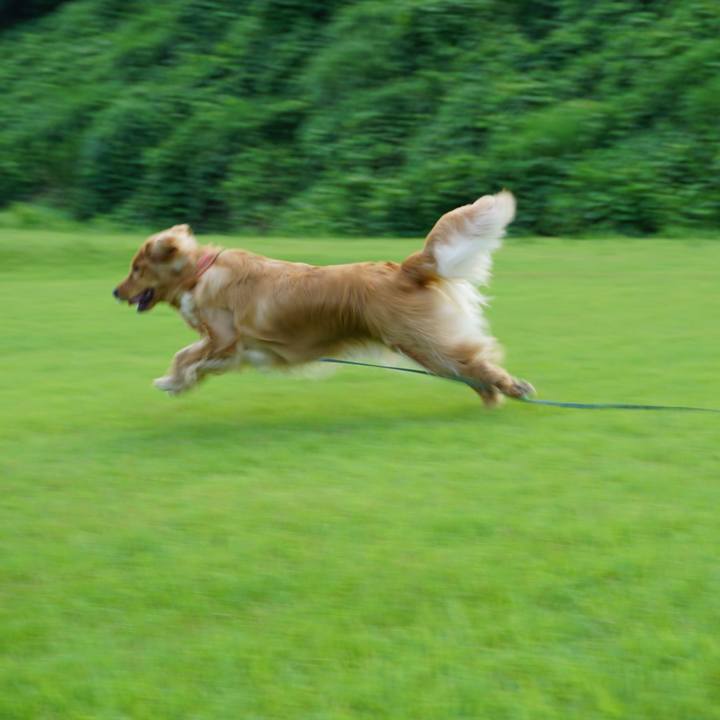 E2d644fe 3c84 45d0 bd99 f3683e1bb0bf 1523684856794