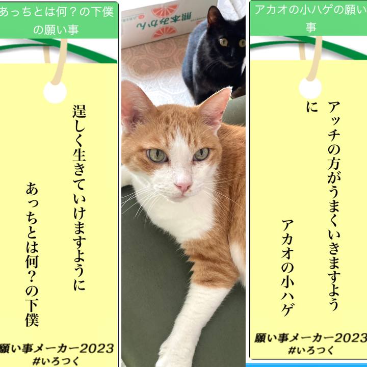 E2d66904 0370 4493 a495 937c4aaeb205 1688734232967