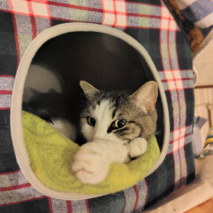 E2d695ec 23cd 4864 a3fe d4fe05285d78 1770533324095