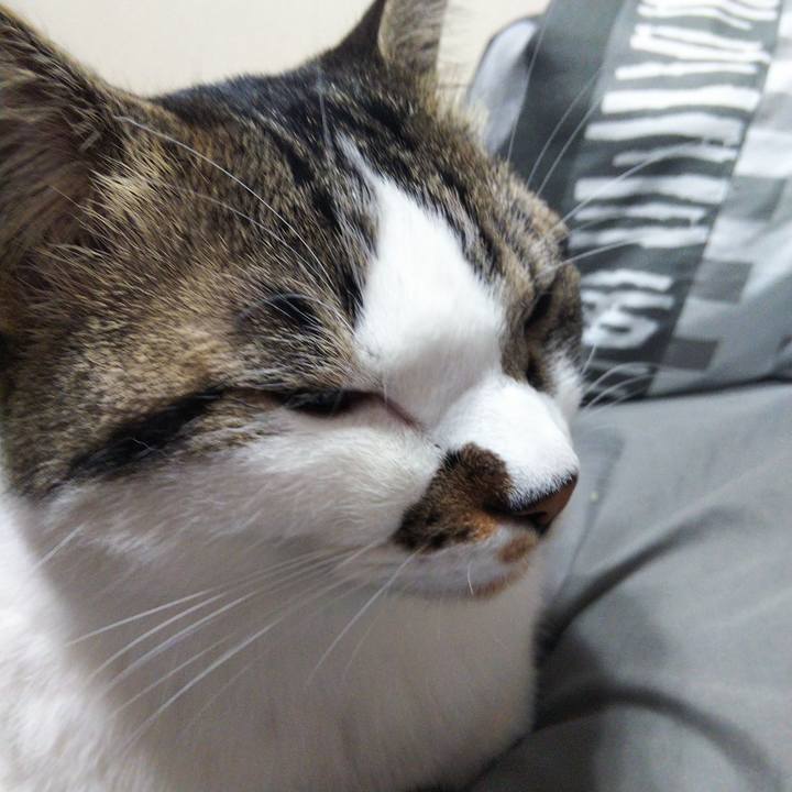 E2d6b207 72dc 4f2d 97a3 2817100c4d4a 1655328954298