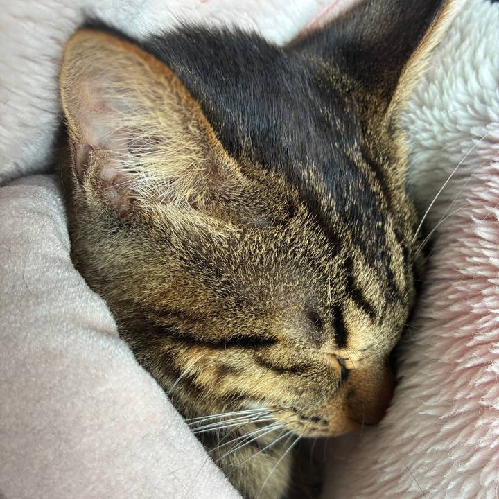 E2d6fe3d 06ad 472d a37b 80cbc66219c5 1757806851310