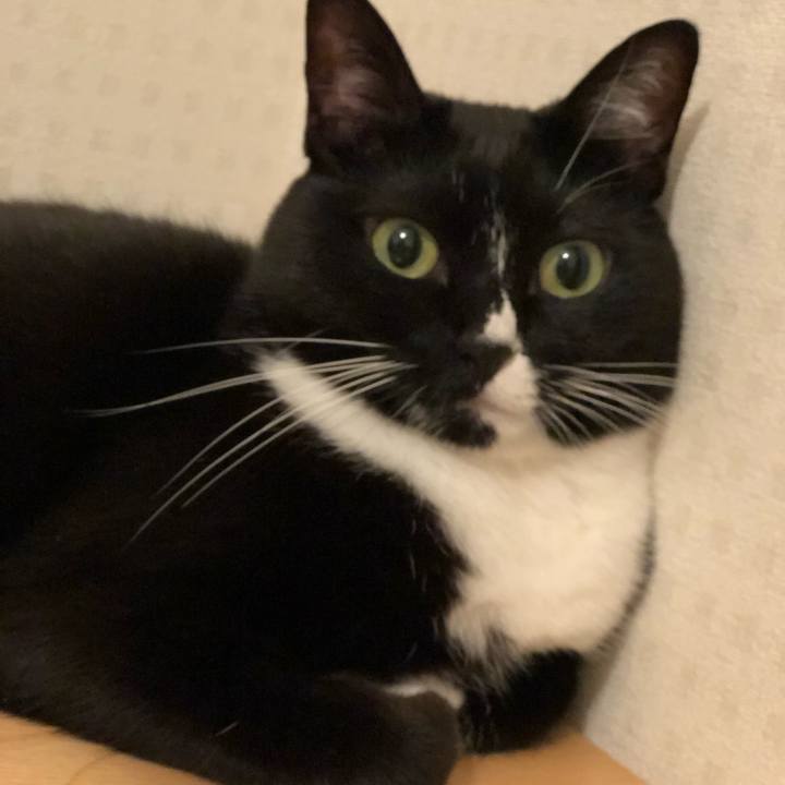 E2d7631a 725b 42bc 9d08 703c5fb131b7 1570055701025