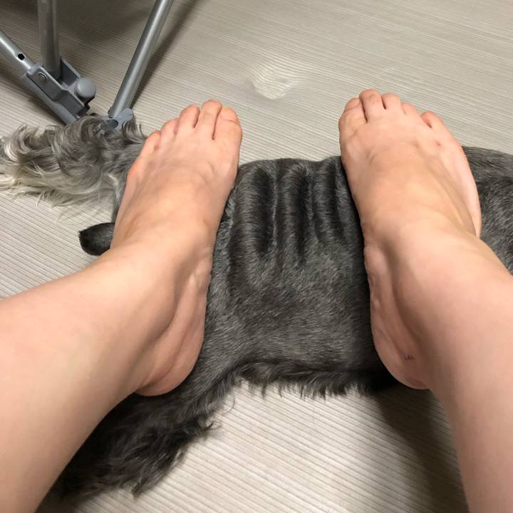 E2d7a615 1cf0 448d 9b07 b005b0b1d98f 1567512774578