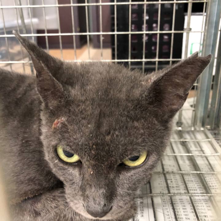 E2d7b0f8 f81e 4858 9c4d d5d2d4cd3574 1628181110034