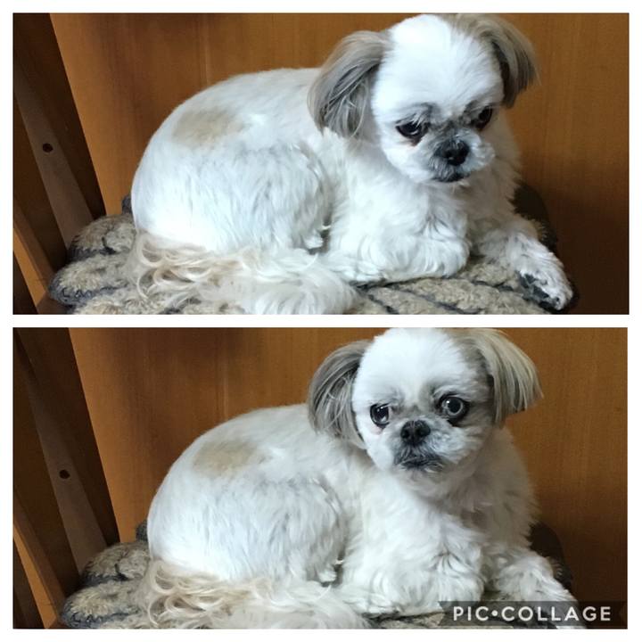 E2d7c5ef 8c35 46c4 b59f 21f4e84f1477 1554983328217