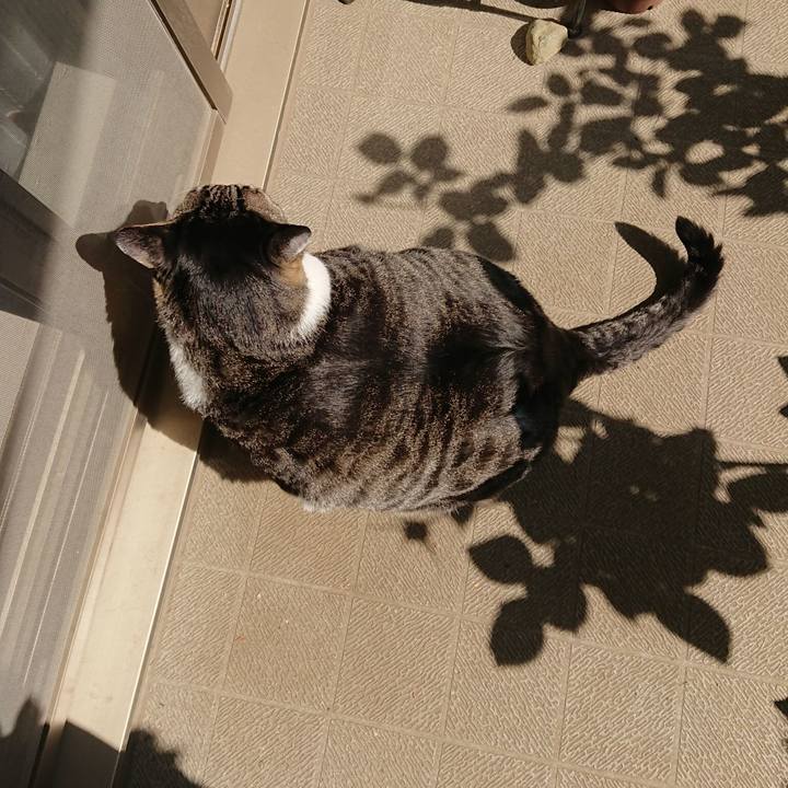 E2d7fb18 49fd 4e7a 86be 959f13142935 1524693182961