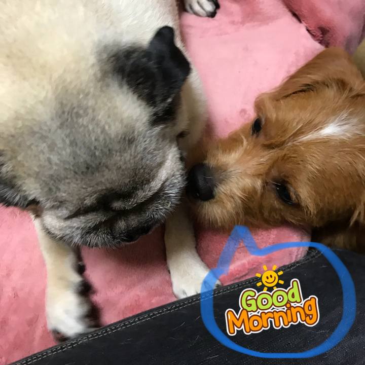 E2d7fb48 5304 4022 9da1 0eb06c0ff452 1534122582615