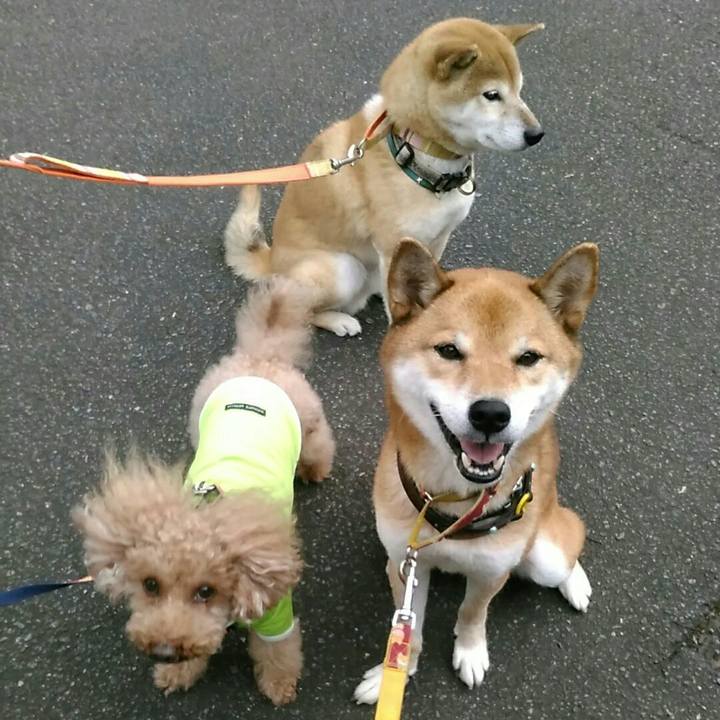 E2d84569 62e6 428c b6e2 3ebe5dfbc241 1571127628780