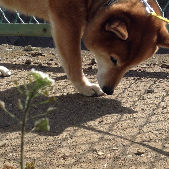 E2d85f29 99de 4e47 8b95 5f31b56e6fa7 1550736629410