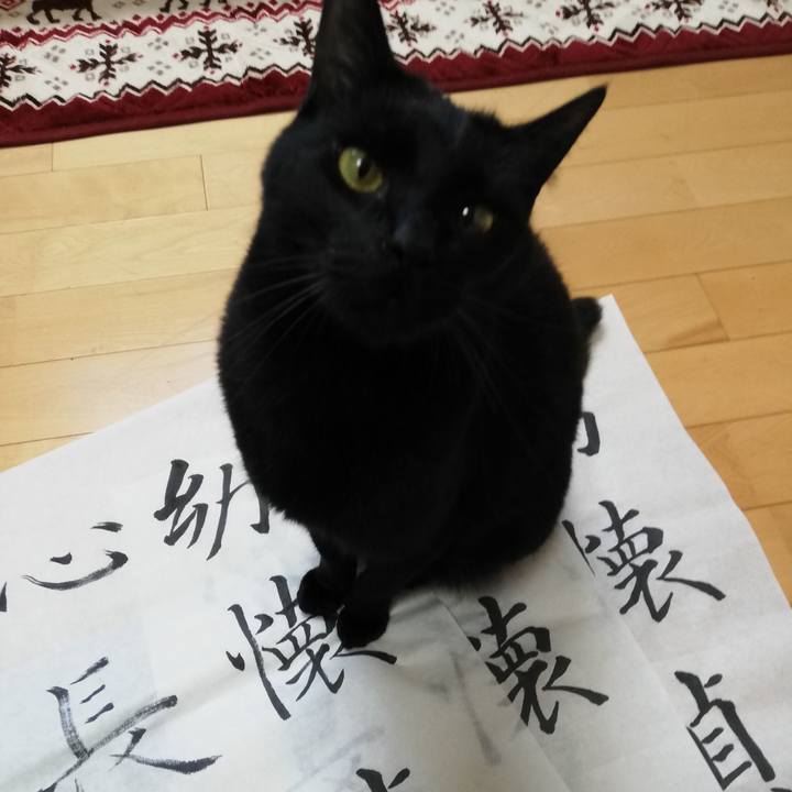 E2d87576 6e89 491f 878f dd9cb6b098e5 1714895712232