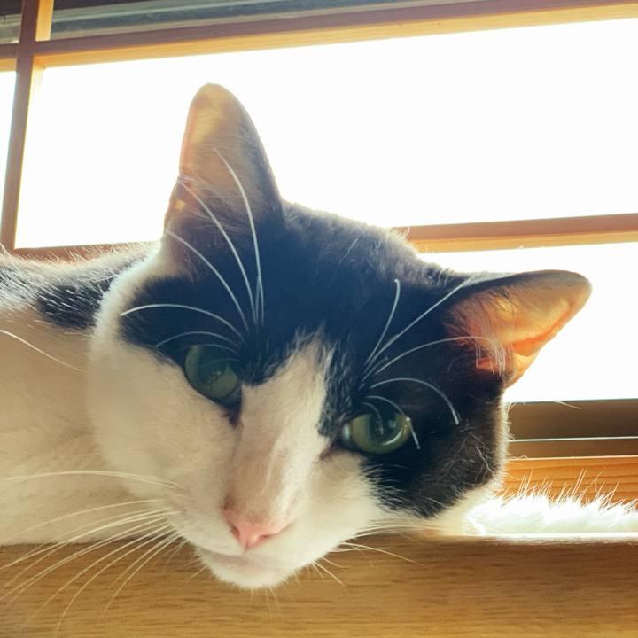 E2d87da2 ba5c 4fd7 af0a b87d24726e89 1595643940965