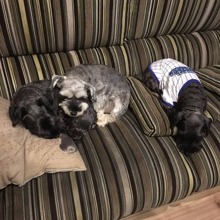 E2d893b9 53b6 44dc 8152 b871789df8af 1508845246194