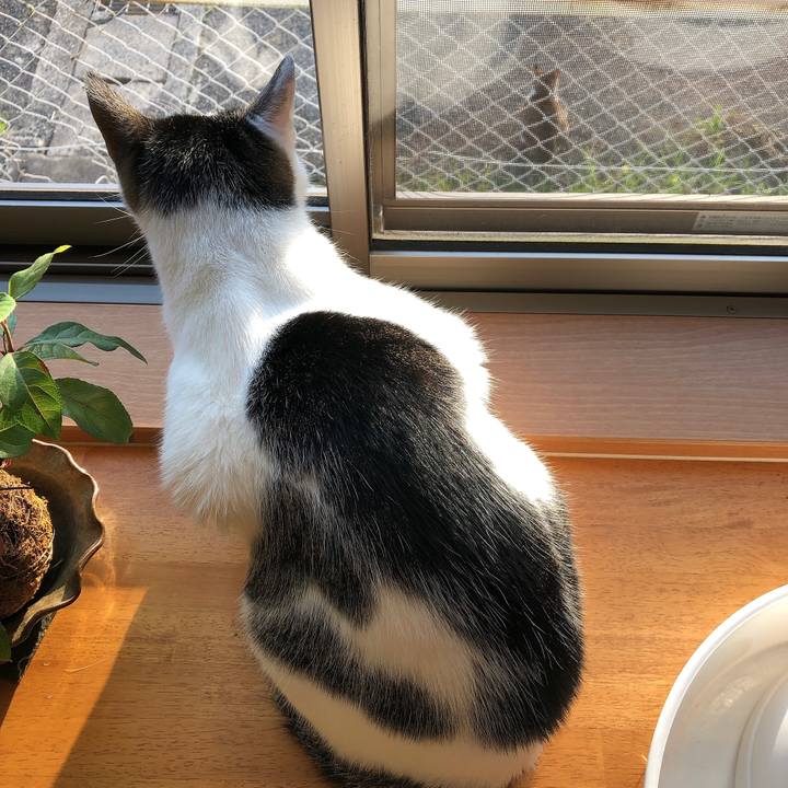 E2d8a0dd 1cfa 4198 a3b4 670328dd25a4 1622322236455