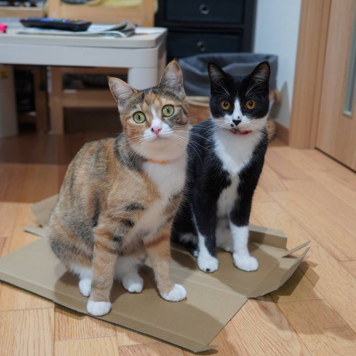 E2d8e101 dd33 4dec 8987 6e3956107967 1594684690707