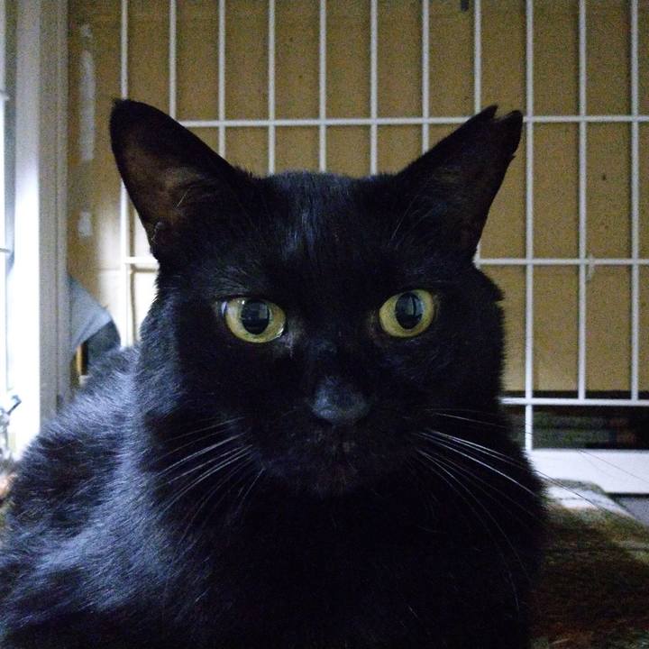 E2d9581e bd6d 4c8c afb2 29460066f37c 1684114647902