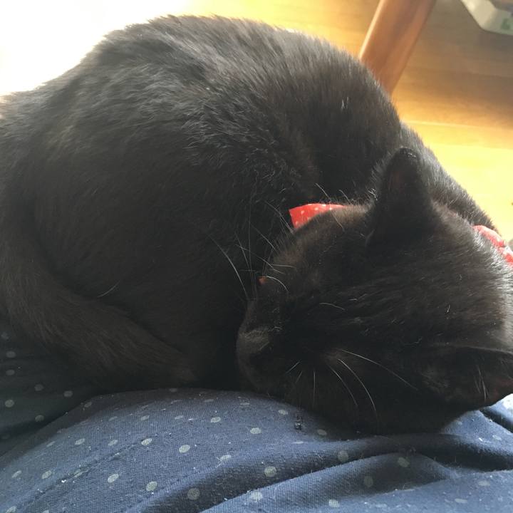 E2d99c0d 77fb 4eac 916b d56d5cfad5a1 1537751312029