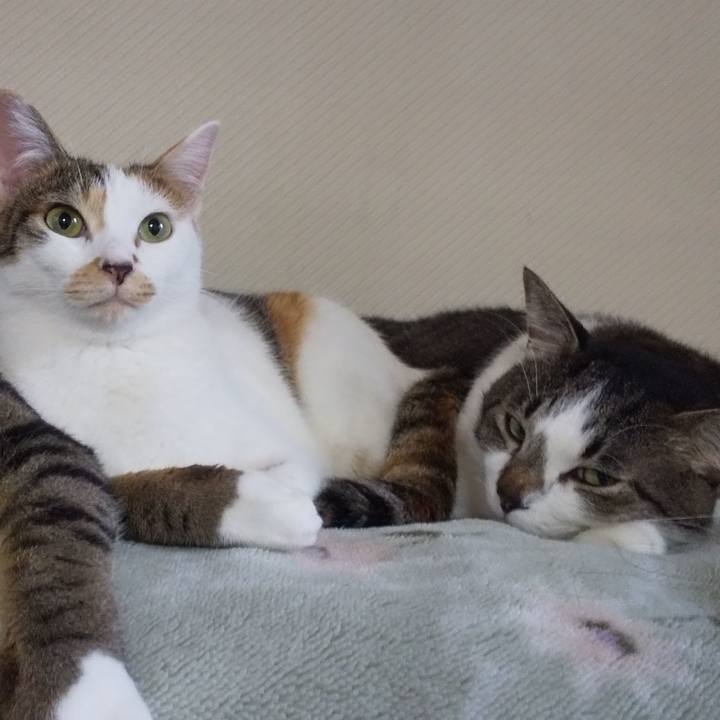 E2d9b4a0 d5d4 482a a210 31db9109258c 1663901634584