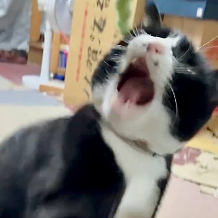 E2da3cc2 f340 450c 93c0 ddfbaf991cef 1772202464807