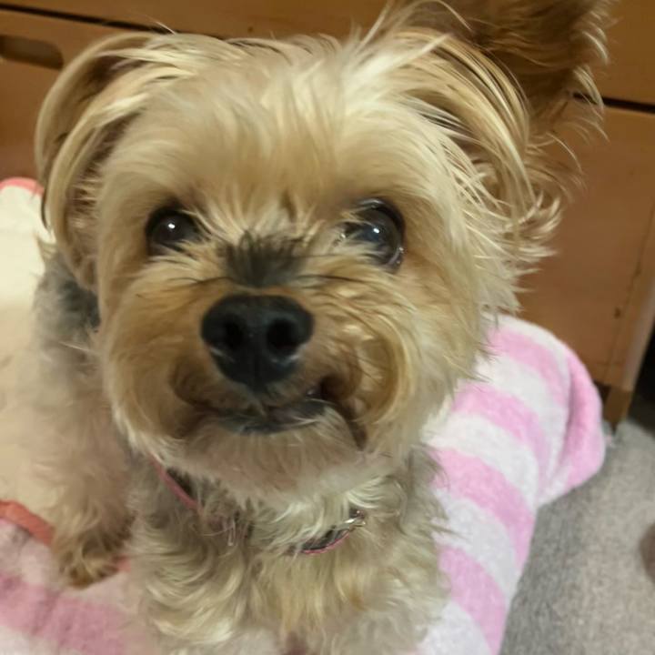 E2da9af5 b206 4a3d b3b0 5ab8d967ffc4 1758542849394