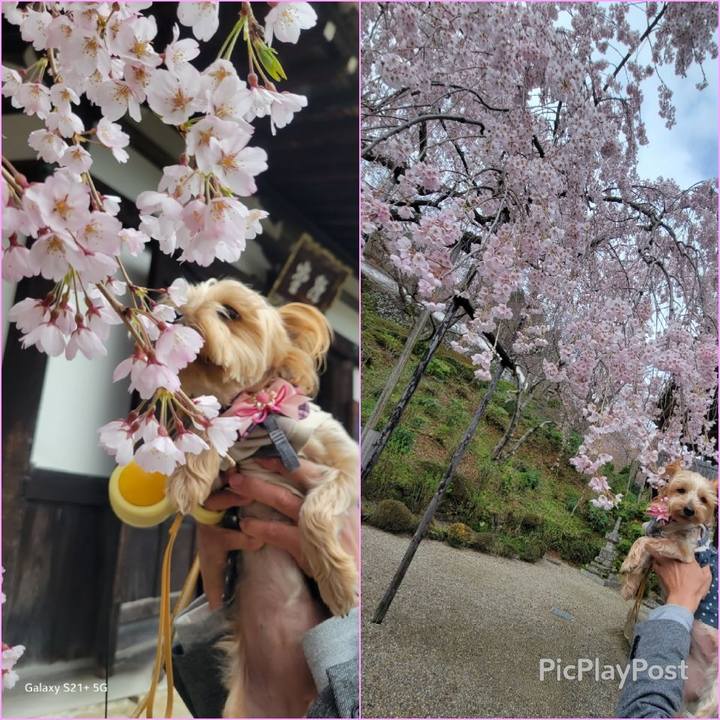 E2dac2d4 760f 46a9 83f4 e29b29b0b2fb 1679735893360