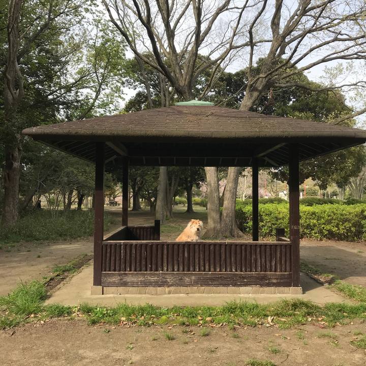 E2dac596 fedc 4ce7 aed8 efb3579d878d 1586255951118