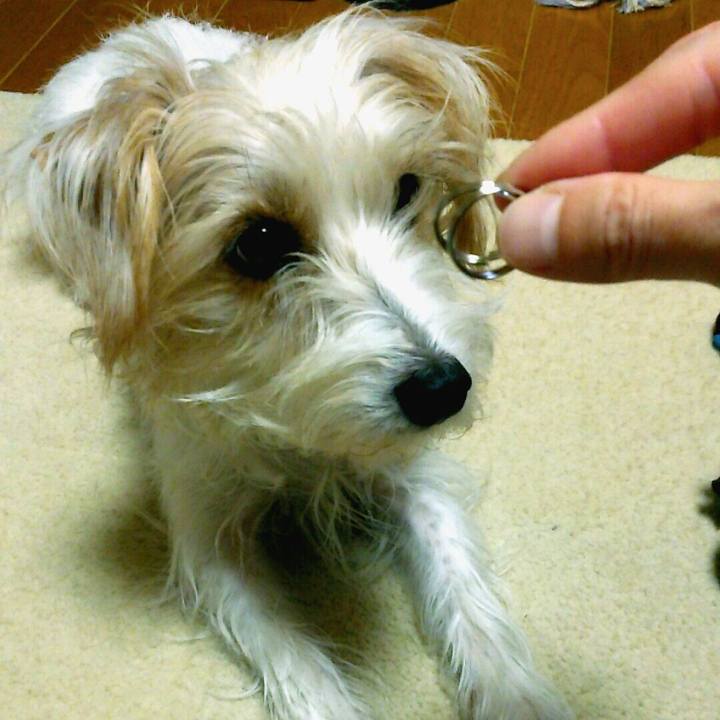 E2dad3b4 6822 44c4 8a25 754d480940d7 1513171923103