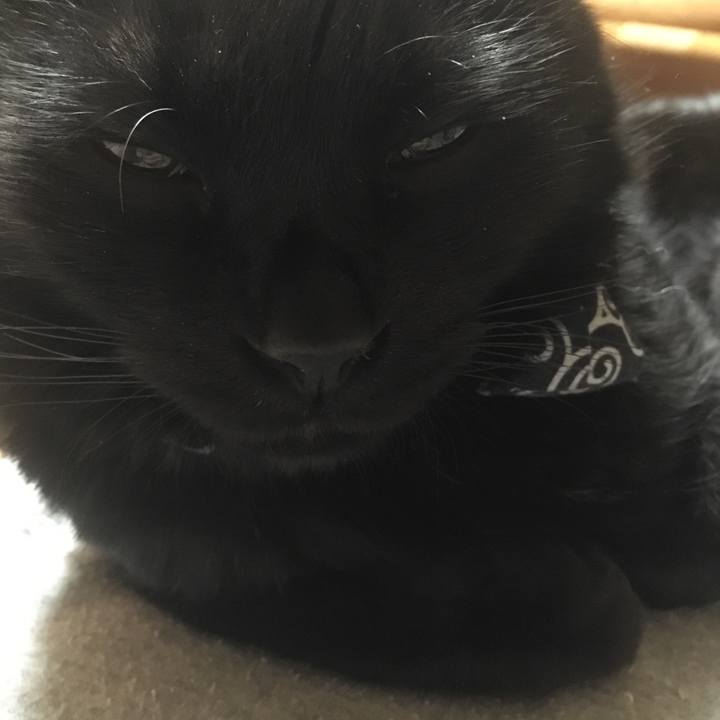 E2dad604 779d 4dff ad15 c299b62bcd7f 1549111520636