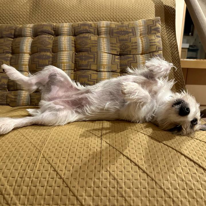 E2dad695 8d19 4820 b19c 51c6f077c0d3 1695029037285