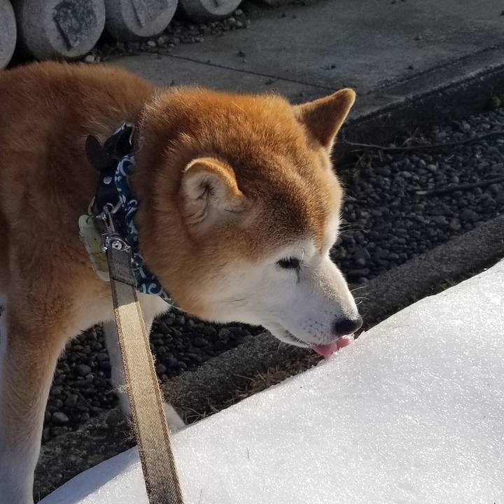 E2daf0fc b631 4ab8 92b7 4c9a0aacbbfb 1702181143585