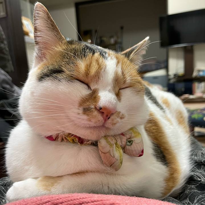 E2db6831 db10 41df 8bb2 82f3a7712aa4 1646911638992