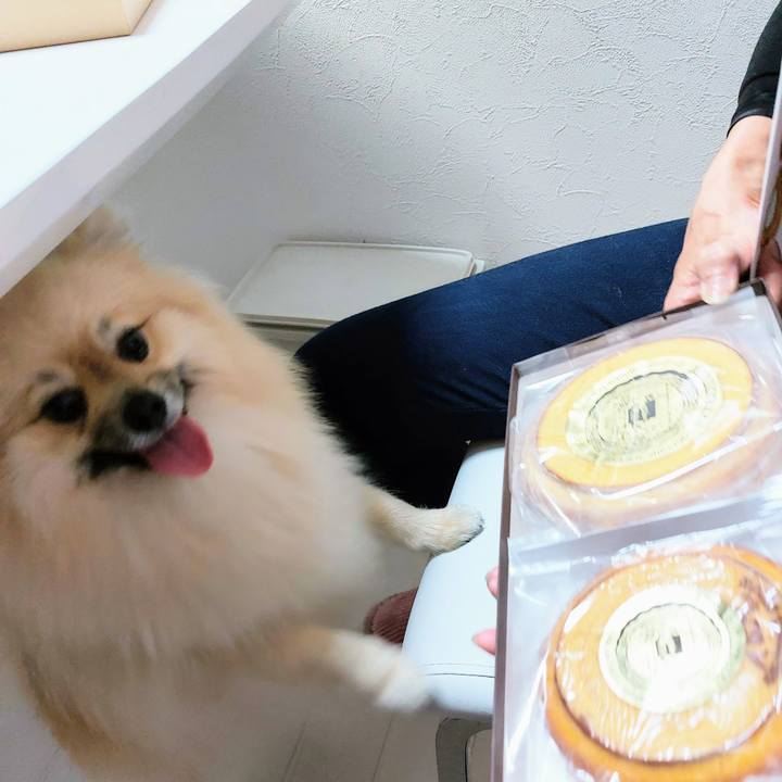 E2db69b5 cef6 4b13 b80e ada28ee5951e 1650255922465