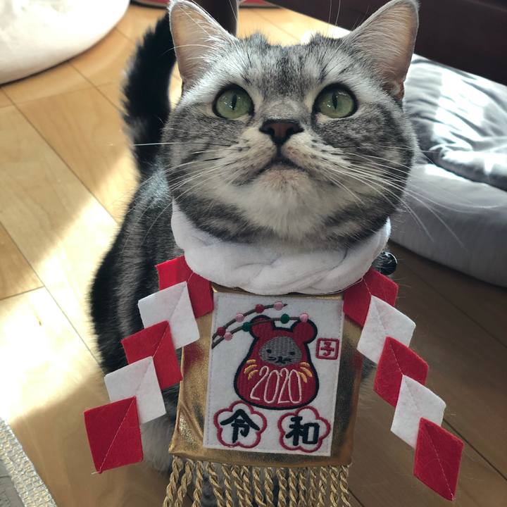 E2dbcf40 5c3a 467a ab89 409524da3d3c 1609419186680