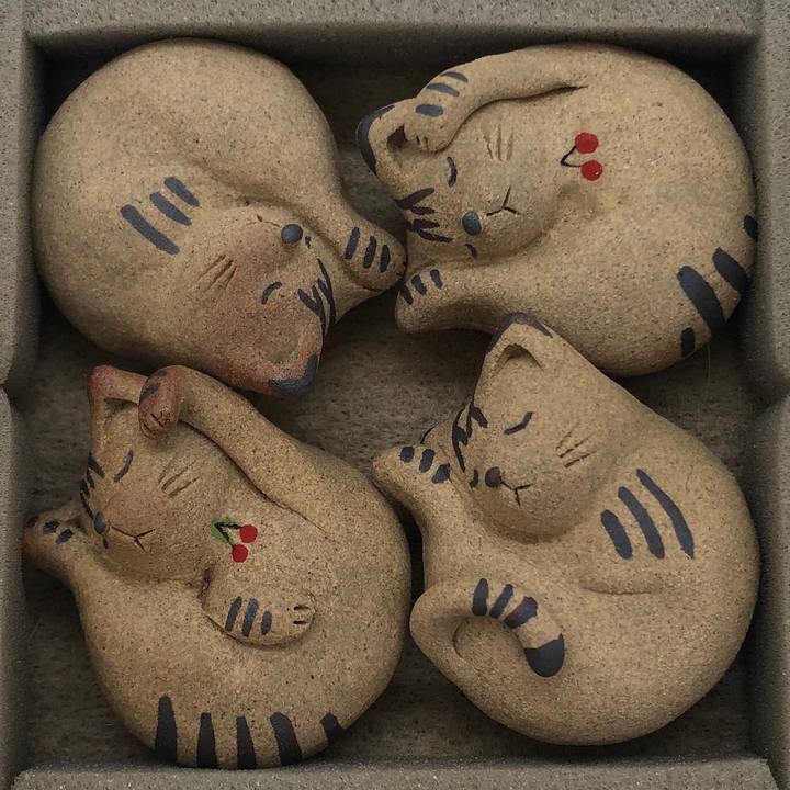 E2dbeefe 77c2 44bb 9f1d 4383617747fe 1632970850988