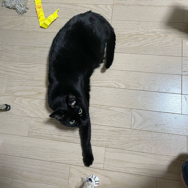 E2dbfdd1 2eca 48fb 97aa bb3bdbbbe461 1711446371282