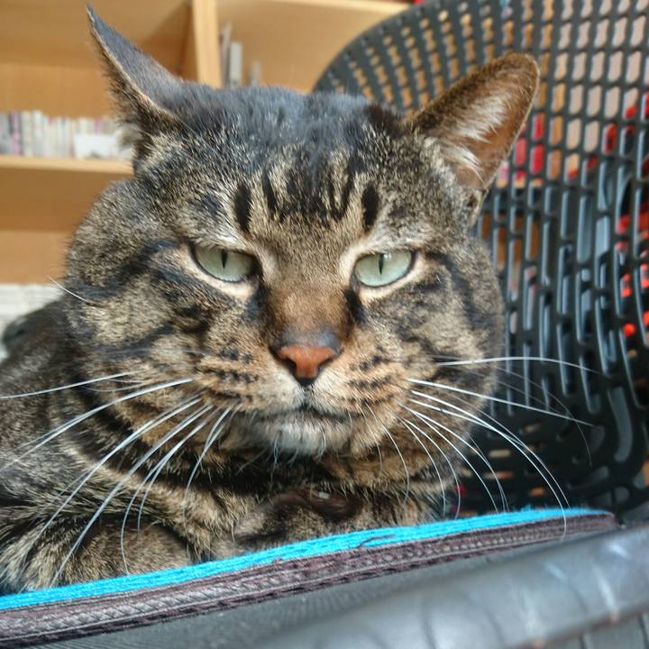 E2dc3ce3 efcd 4ac6 8a7c 8cc24186298d 1524292735438