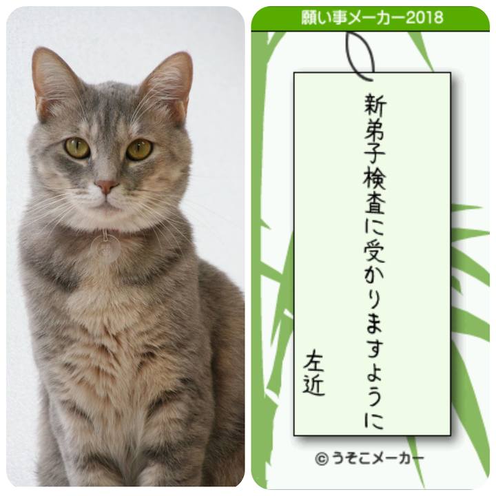 E2dc3f8a 37e8 42d4 818f d459cb728e07 1530961146606