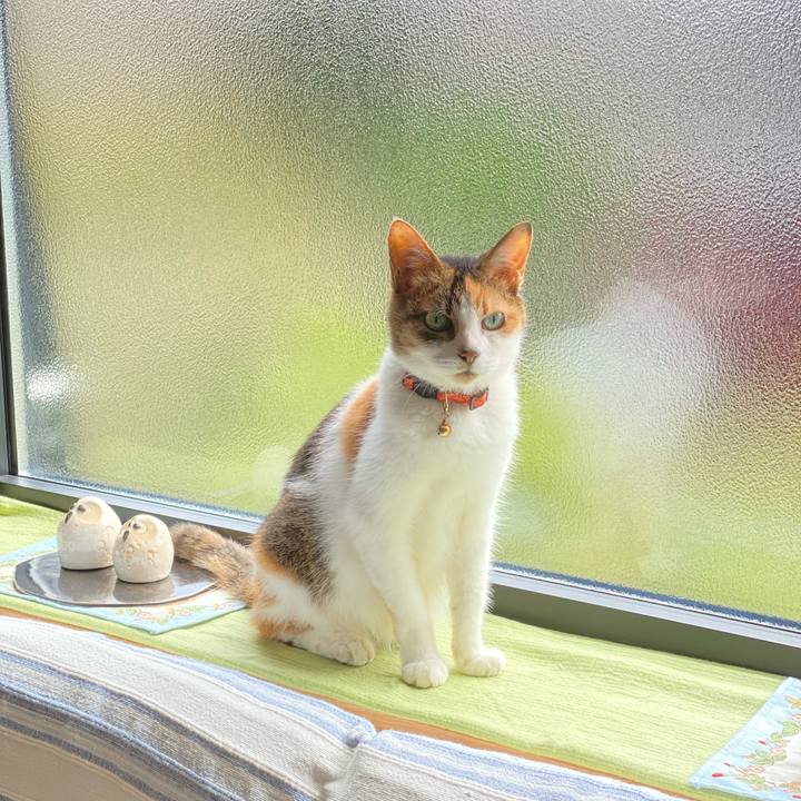 E2dc8144 0b1f 4caa a976 8a66dcd4b942 1658017063981