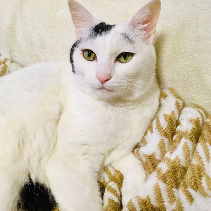 E2dc88bf 952d 4c3d a012 5a9be4888186 1563698033659