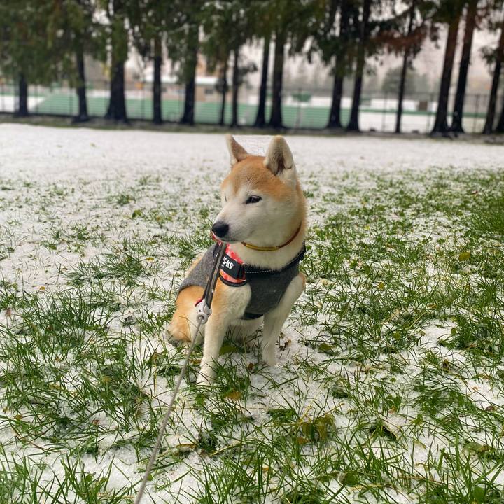 E2dc91a6 32e6 4cbc a5f5 b60d13bb905d 1730964423931