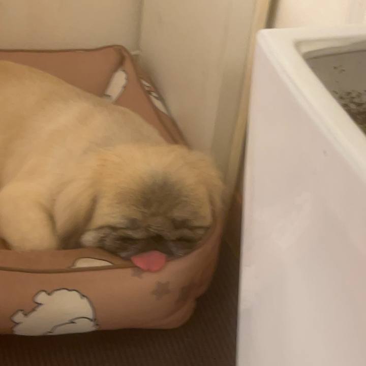 E2dc9d7e aed9 4f29 a109 ede95002f745 1721248402827