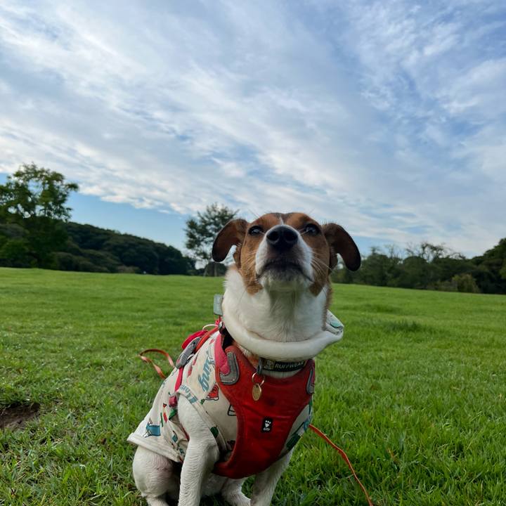 E2dcd8f1 d3fb 4753 88fb 4ad762e1f0a8 1725616703807