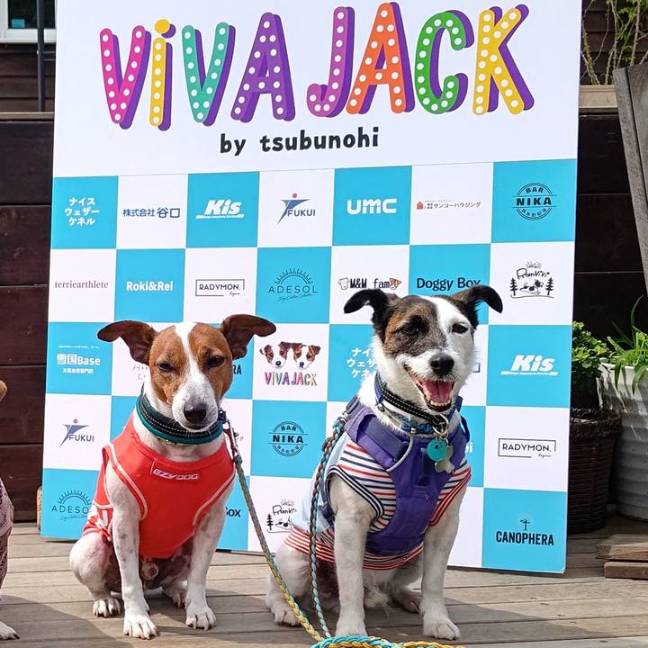 E2dcffd4 f085 47a4 b930 60d8284e377e 1685174668437