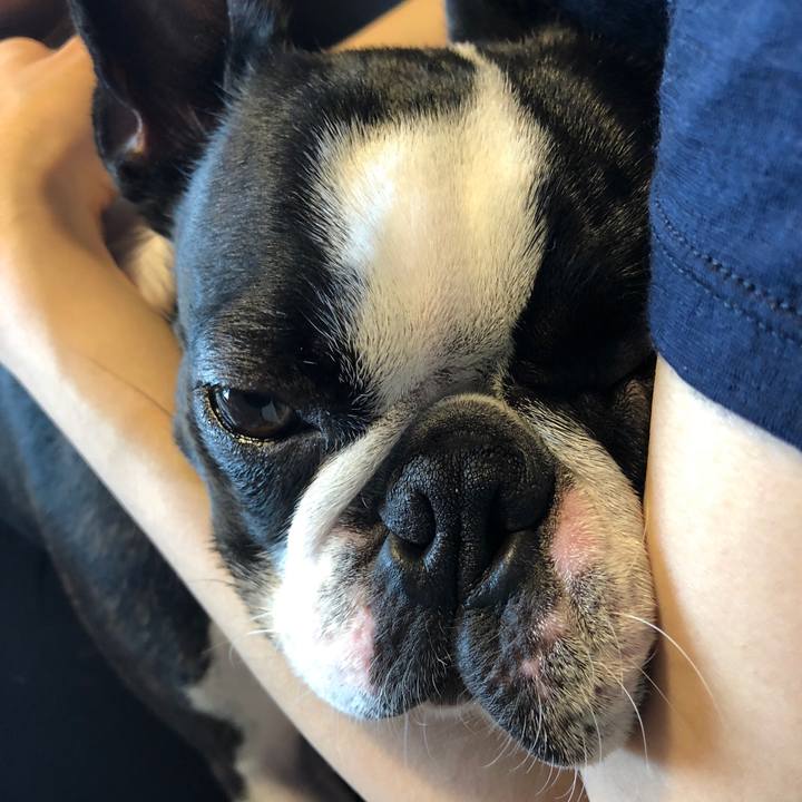 E2dd11d7 f205 49eb a10c b174fb4a585a 1563068874110