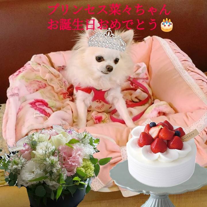 E2dd1831 9130 44c4 983d 8e132ddcebe3 1675598674323