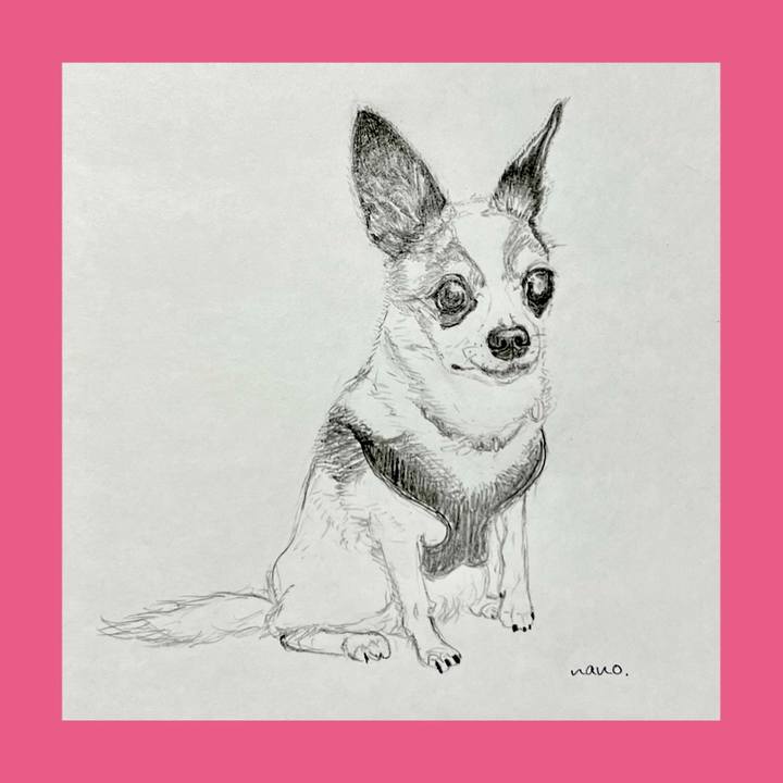 E2dd18dc b37a 41c5 a780 96e3996f2c0b 1682289895343