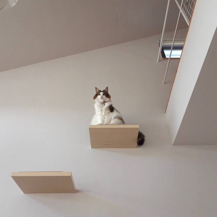 E2dd3b74 488d 4f7f 8f98 a7817987dc3b 1669262640910